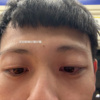 鼠牛虎兔龙蛇马羊猴鸡狗猪