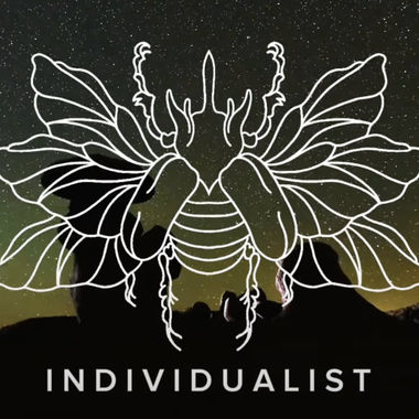 Individualist - Individualist