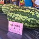 绯村の大嘻哈时代探险小记