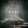雾中前行