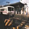 仲夏梦‘demo’