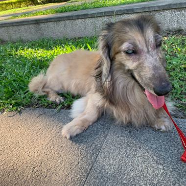 落在适合的泥土里