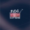共枕眠