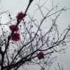 没有名字的温柔
