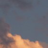 傻子 cover