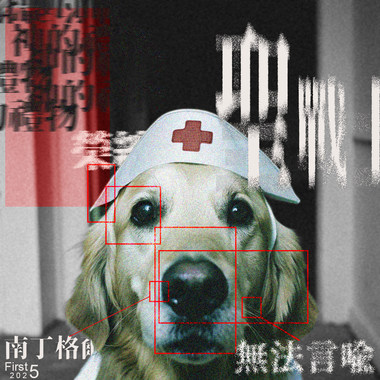 荣总圣战士