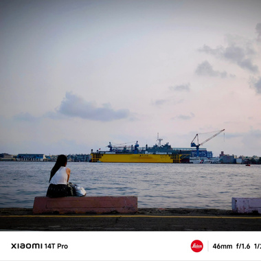 曾从你的世界路过