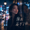 《像我忘不了你》| 现在只剩我一个人