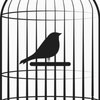 《笼中鸟》