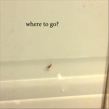 where to go?