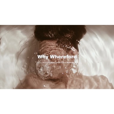 Zashō 高林 - Why Wherefore 【上帝不掷骰子】