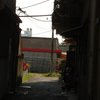 亲爱的孩子