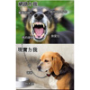 可是我还在啊（demo）