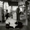 Get Rotten DEMO