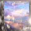 梦想梦乡-葵妮QNELyn