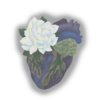栀子花