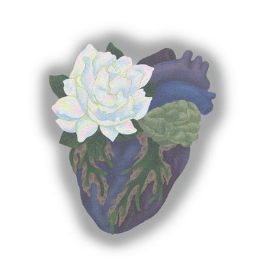 栀子花