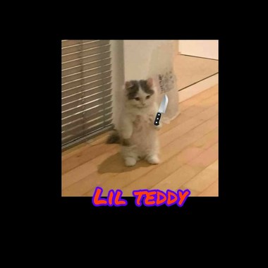 LIL TEDDY - 跟我回部落