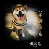 单身自由 Demo