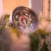 指针 Compass