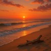 漂流木Driftwood