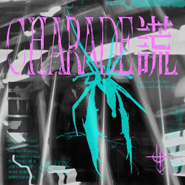 CHARADE谎