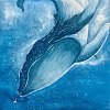 北美大鲸鱼-道别