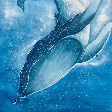 北美大鲸鱼-道别