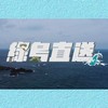 绿岛直送Dive In Green