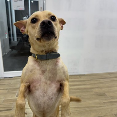 爱，停止了转动Remix