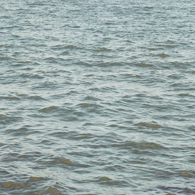 因为你是我的大海 demo