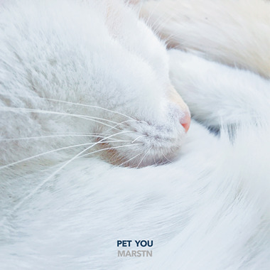 Pet You