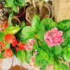 《还没被听见的歌儿们｜03》牵牛