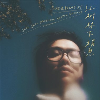 红树林下稍息