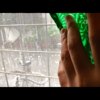 雨后雷前- 雨声与微梵唱