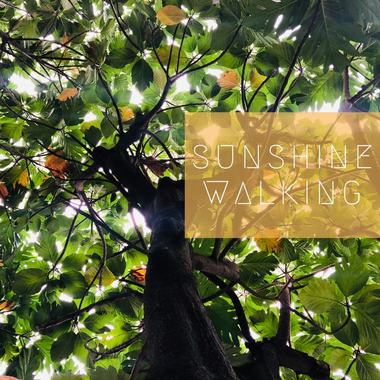 Sunshine Walking