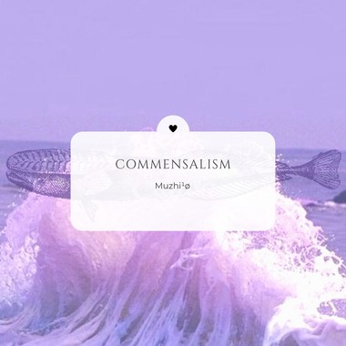 片利共生 Commensalism