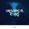 被泪水淹死 Drowning In Tears