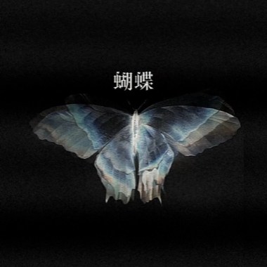 蝴蝶 Butterfly