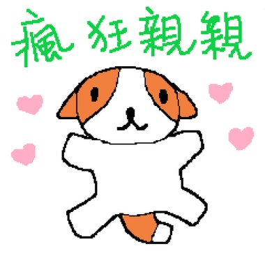 晓圆橘