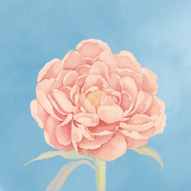 牡丹（MuDan）