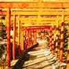 寂静之世