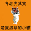 娜娜跌死–冬老虎其实是只温驯的小猫(inst.)