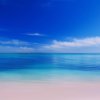 (海滩-beach)-[Official Audio]