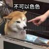 乒乓