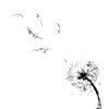 Blue Wind 蓝色的风