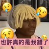 也许真的是我错了 -（心理学家The Psychologists）