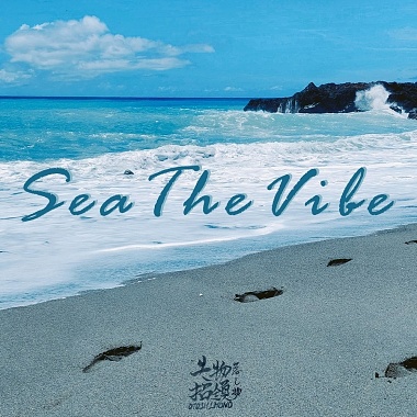 Sea the Vibe