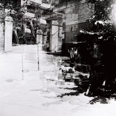 我们在星海湖边