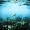 “无意识”六感联觉～沈浸式音乐体验展主题音乐